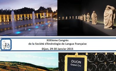 Congrès – Dijon 2015